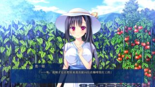 【汉化H游戏美少女游戏下载/VIP】天空的蓝与白 / 如梭夏日 中文版【5.2G】