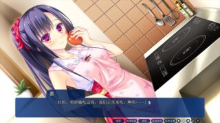 【汉化H游戏美少女游戏下载/VIP】天空的蓝与白 / 如梭夏日 中文版【5.2G】