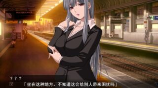 【汉化H游戏美少女游戏下载/VIP】最终痴汉电车3 汉化版【2.1G】