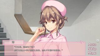 【汉化H游戏美少女游戏下载|VIP】我和她（女护士）的研修日志 中文版【900M】