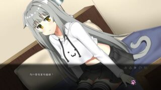 【汉化H游戏美少女游戏下载|磁力|VIP】为啥我家有个猫娘?汉化版【160M】