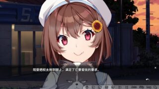 【汉化h游戏美少女游戏下载|VIP】GINKA 中文版【2.8G】