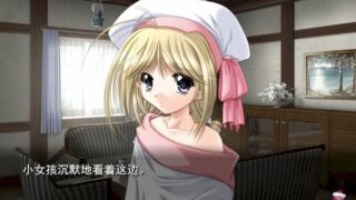 【汉化h游戏美少女游戏下载|VIP】魔王的女儿们 汉化版【700M】