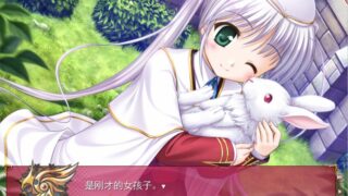 【汉化h游戏美少女游戏下载|VIP】命运动脉 / FORTUNE ARTERIAL 汉化版【3.1G】