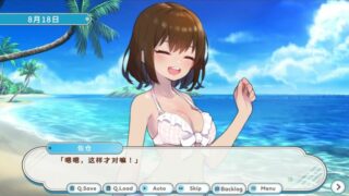 【汉化h游戏美少女游戏下载|VIP】DEBUG女友 （DebugGirl） 中文版【1G】