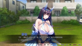 【汉化h游戏美少女游戏下载|VIP】巨乳魔法少女之鬼畜调教 中文版【1.3G】